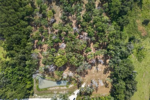 Land in Reddick, Florida № 2272897 - photo 22