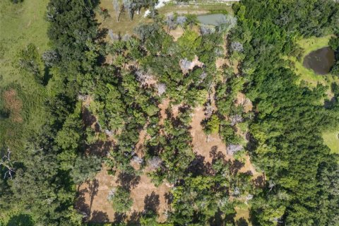 Land in Reddick, Florida № 2272897 - photo 24