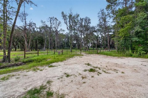 Land in Reddick, Florida № 2272897 - photo 12
