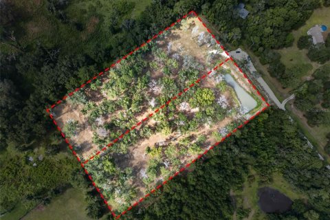 Land in Reddick, Florida № 2272897 - photo 18