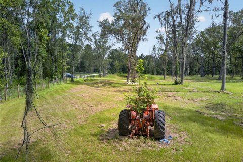 Land in Reddick, Florida № 2272897 - photo 13