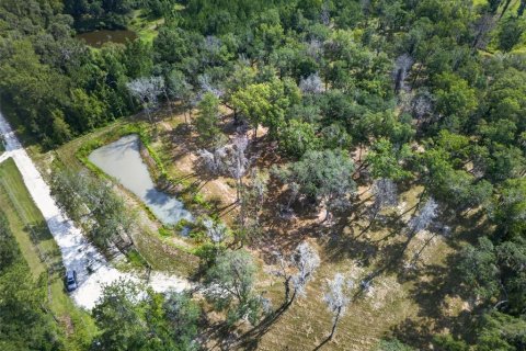 Land in Reddick, Florida № 2272897 - photo 20