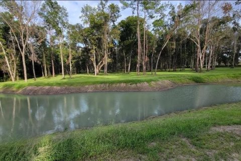 Land in Reddick, Florida № 2272897 - photo 3