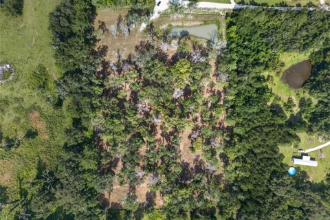 Land in Reddick, Florida № 2272897 - photo 30