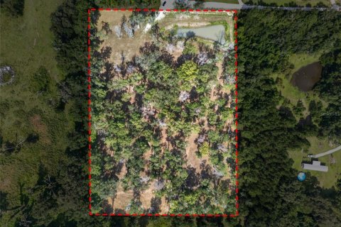 Land in Reddick, Florida № 2272897 - photo 28