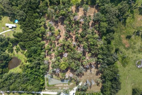 Land in Reddick, Florida № 2272897 - photo 25