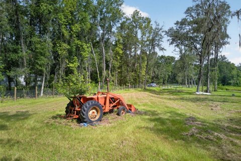 Land in Reddick, Florida № 2272897 - photo 14