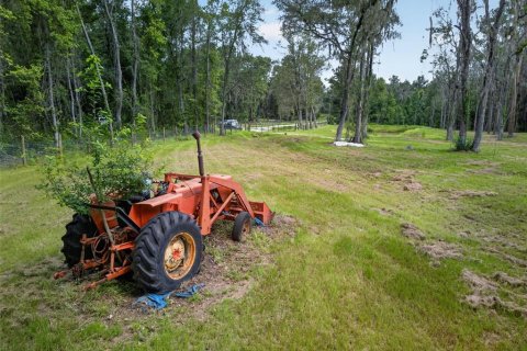 Land in Reddick, Florida № 2272897 - photo 17
