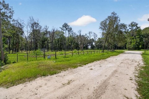 Land in Reddick, Florida № 2272897 - photo 11
