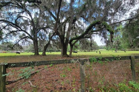 Land in Reddick, Florida № 2272897 - photo 5