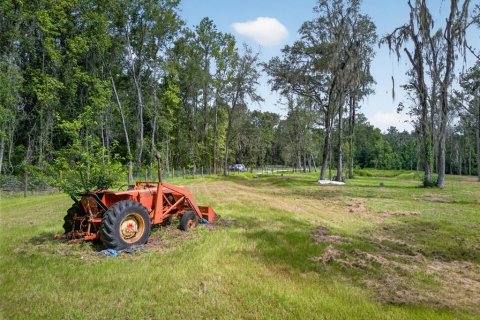Land in Reddick, Florida № 2272897 - photo 15