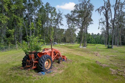 Land in Reddick, Florida № 2272897 - photo 16
