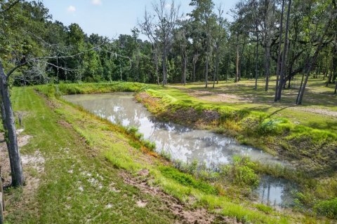 Land in Reddick, Florida № 2272897 - photo 9