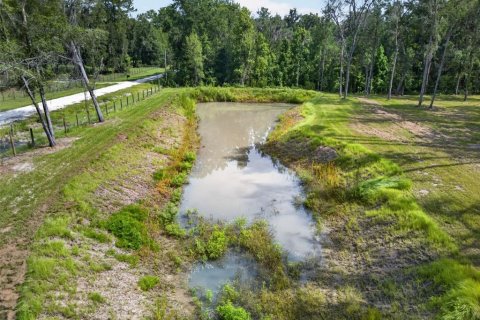 Land in Reddick, Florida № 2272897 - photo 7