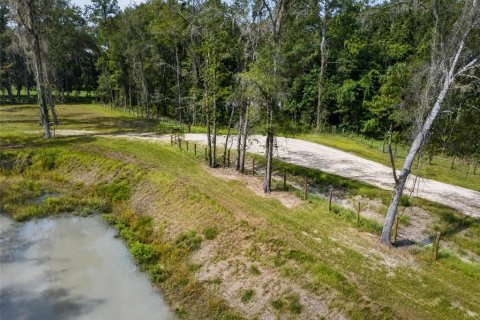 Land in Reddick, Florida № 2272897 - photo 8