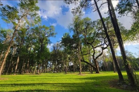 Land in Reddick, Florida № 2272897 - photo 4