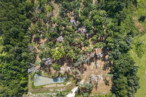 Land in Reddick, Florida № 2272897 - photo 21