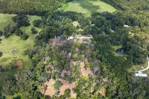 Land in Reddick, Florida № 2272897 - photo 23