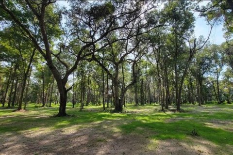 Land in Reddick, Florida № 2272897 - photo 2