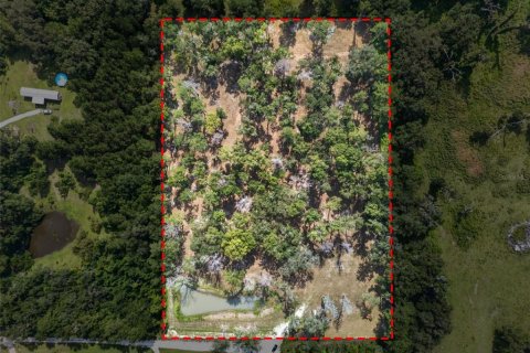 Land in Reddick, Florida № 2272897 - photo 26