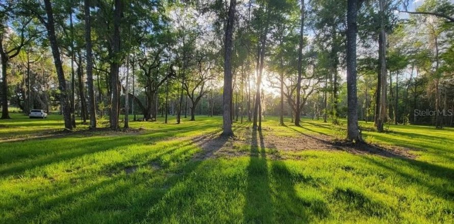 Land in Reddick, Florida № 2272897