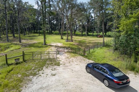 Land in Reddick, Florida № 2272897 - photo 10