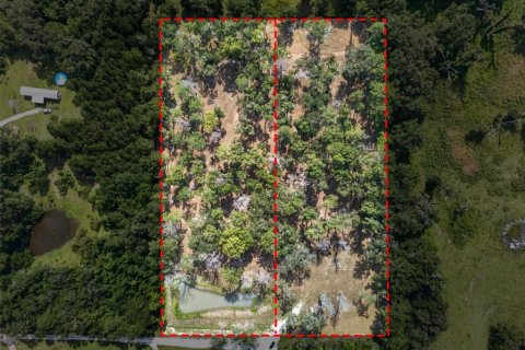 Land in Reddick, Florida № 2272897 - photo 27
