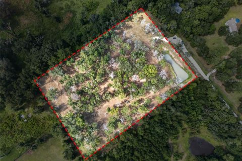 Land in Reddick, Florida № 2272897 - photo 19