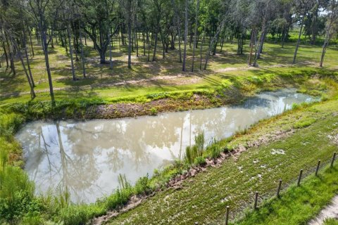 Land in Reddick, Florida № 2272897 - photo 6