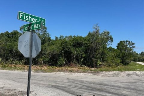 Land in Ocklawaha, Florida № 2160253 - photo 2