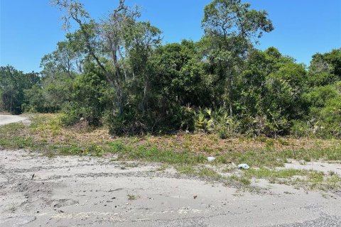 Land in Ocklawaha, Florida № 2160253
