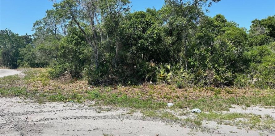 Land in Ocklawaha, Florida № 2160253