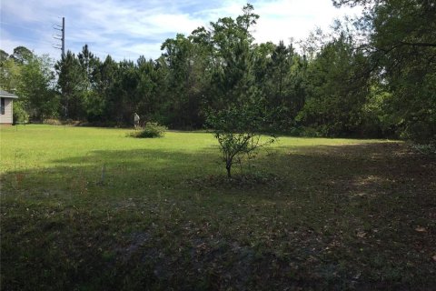 Terrain à Apalachicola, Floride № 2148209
