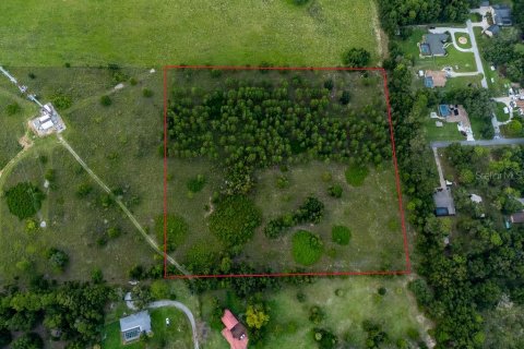 Land in Lecanto, Florida № 2267190 - photo 5