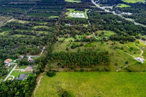 Land in Lecanto, Florida № 2267190 - photo 12