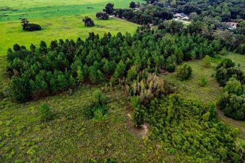 Land in Lecanto, Florida № 2267190 - photo 22