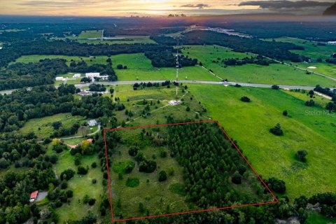 Land in Lecanto, Florida № 2267190 - photo 7