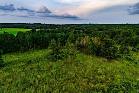 Land in Lecanto, Florida № 2267190 - photo 21