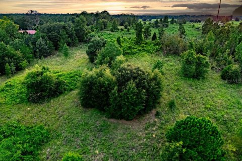 Land in Lecanto, Florida № 2267190 - photo 20