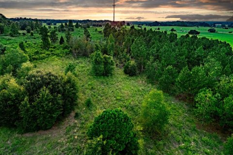 Land in Lecanto, Florida № 2267190 - photo 19