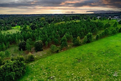 Land in Lecanto, Florida № 2267190 - photo 16