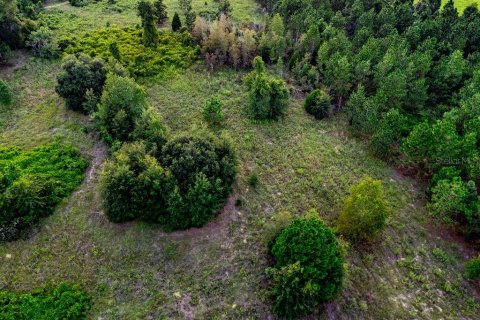 Land in Lecanto, Florida № 2267190 - photo 17
