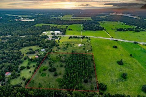 Land in Lecanto, Florida № 2267190 - photo 8