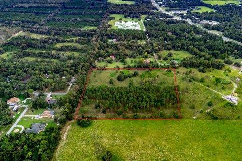 Land in Lecanto, Florida № 2267190 - photo 11
