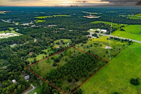 Land in Lecanto, Florida № 2267190 - photo 9