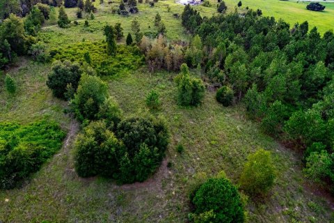 Land in Lecanto, Florida № 2267190 - photo 18