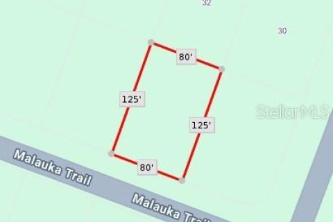 Land in Ocala, Florida № 2159535