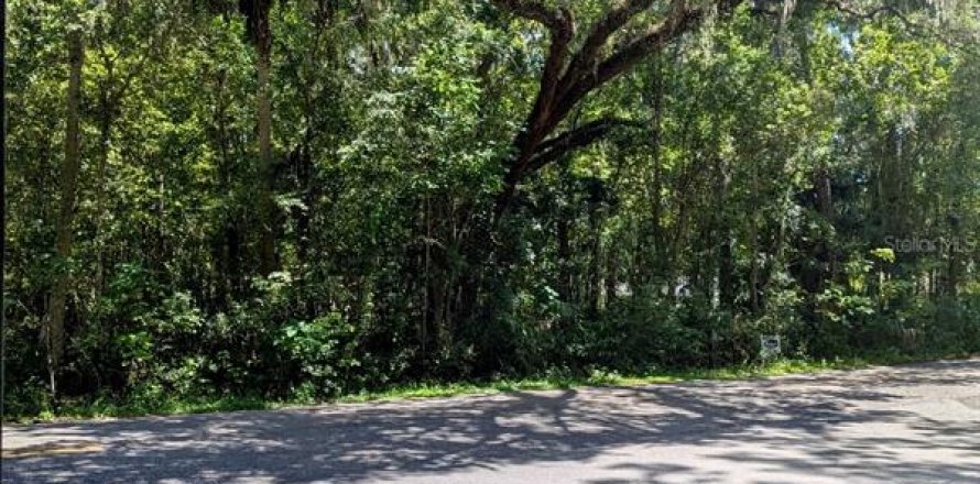 Terrain à Ocala, Floride № 1911484