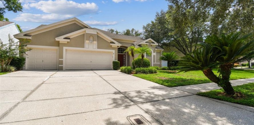 House in Tampa, Florida 4 bedrooms, 215.35 sq.m. № 1885113