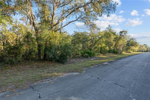 Terrain à Ocala, Floride № 2330586